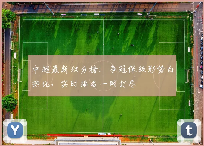 中超最新积分榜:争冠保级形势白热化,实时排名一网打尽