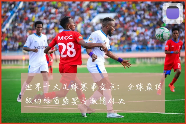 世界十大足球赛事盘点:全球最顶级的绿茵盛宴与激情对决