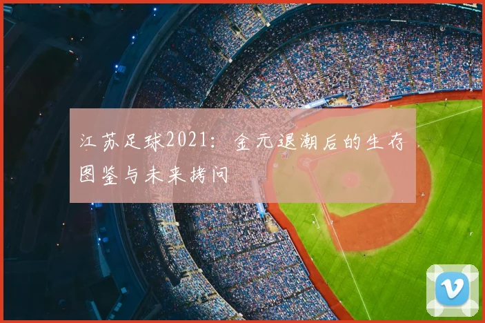 江苏足球2021：金元退潮后的生存图鉴与未来拷问