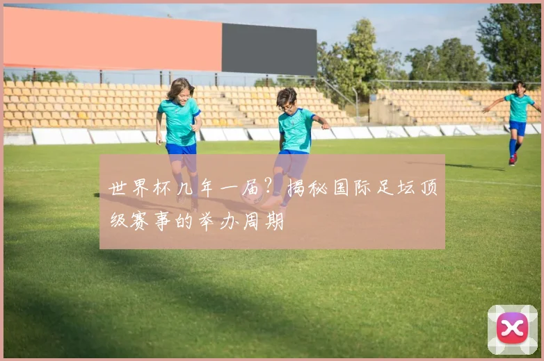 世界杯几年一届？揭秘国际足坛顶级赛事的举办周期